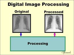 Digital Image Processing Fall 2020